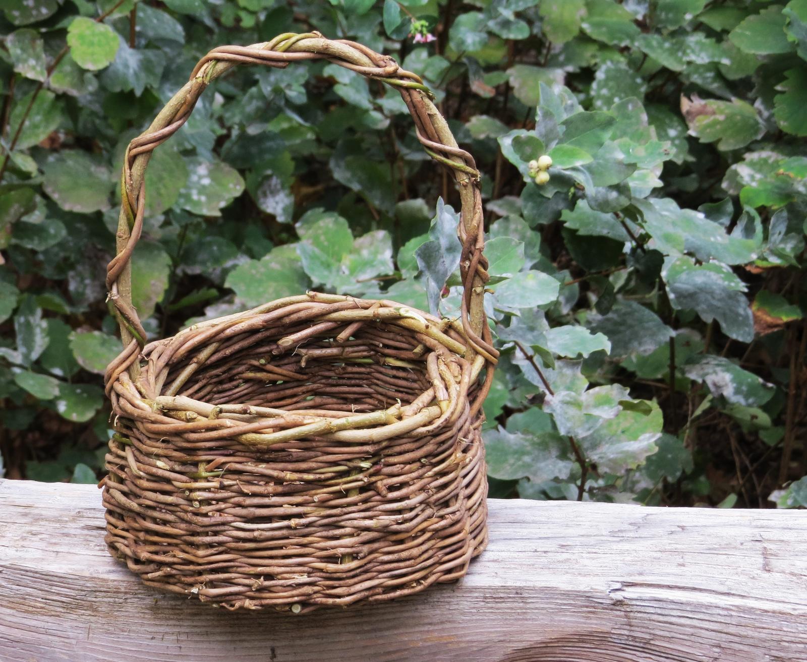 Basket Weaving with English Ivy The Intertwine